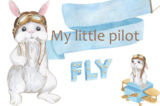 My Little Pilot - Rabbit Little Pilot