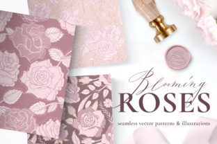 Rose Flower Patterns Illustrations