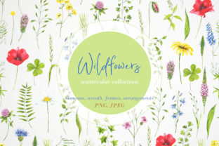 Watercolor Clipart Wildflowers, Plants: A Versatile Art Resource for Creative Projects